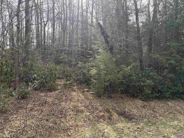 Lot 81 Gondola Court, Davis, WV 26260