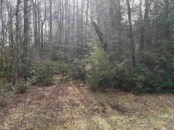 Lot 81 Gondola Court, Davis, WV 26260