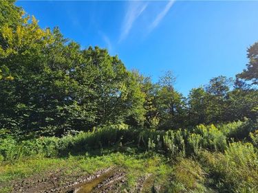 00 Rowsam Road, Martinsburg, NY 13404