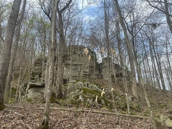 Lot 84 Buckeye Lane, Wilder, TN 38589