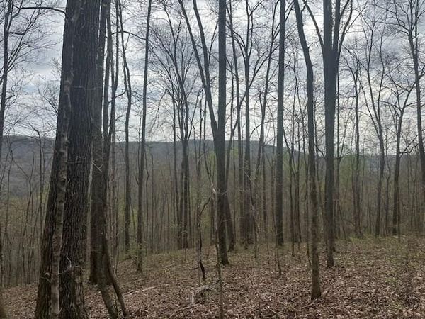 Lot 84 Buckeye Lane, Wilder, TN 38589