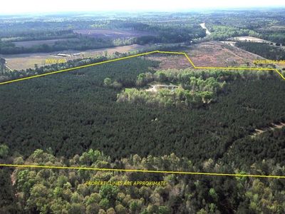 305 Ponderosa Road, Saint Matthews, SC 29135