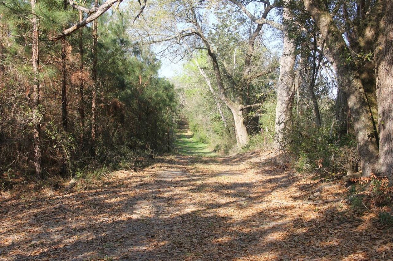 305 Ponderosa Road Photo 11