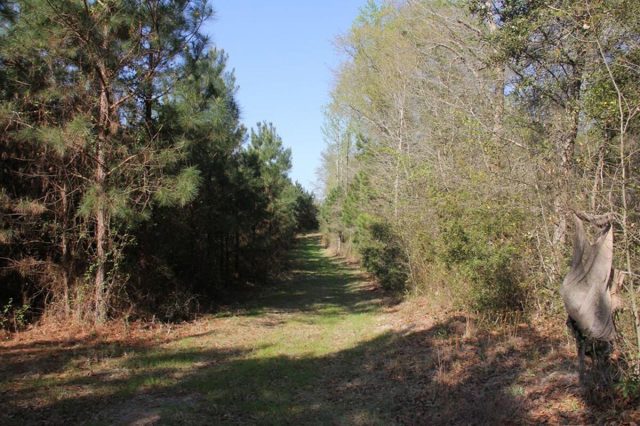 305 Ponderosa Road Photo 12