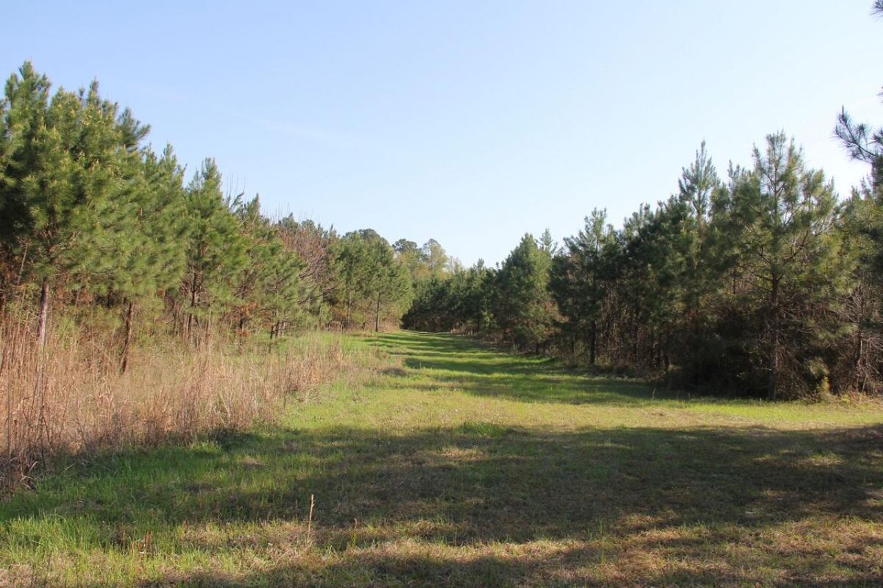 305 Ponderosa Road Photo 13