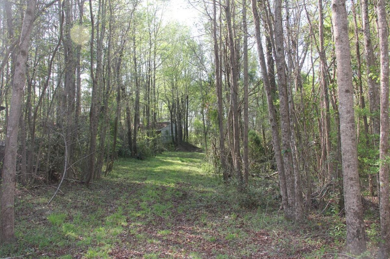 305 Ponderosa Road Photo 17