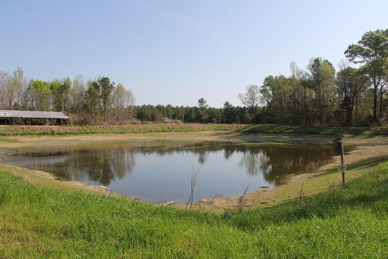 305 Ponderosa Road Photo 17