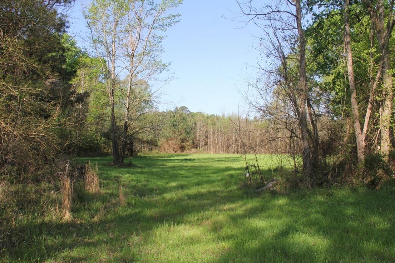 305 Ponderosa Road Photo 19