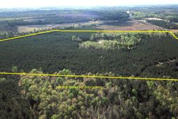 305 Ponderosa Road photo 4