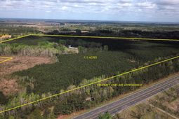 305 Ponderosa Road photo 4