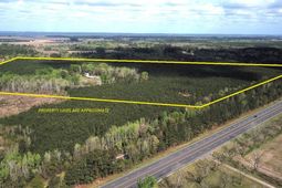 305 Ponderosa Road photo 4