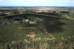 305 Ponderosa Road photo 4