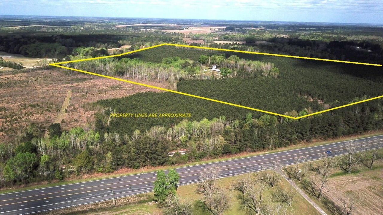 305 Ponderosa Road Photo 4