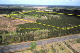 305 Ponderosa Road photo 4