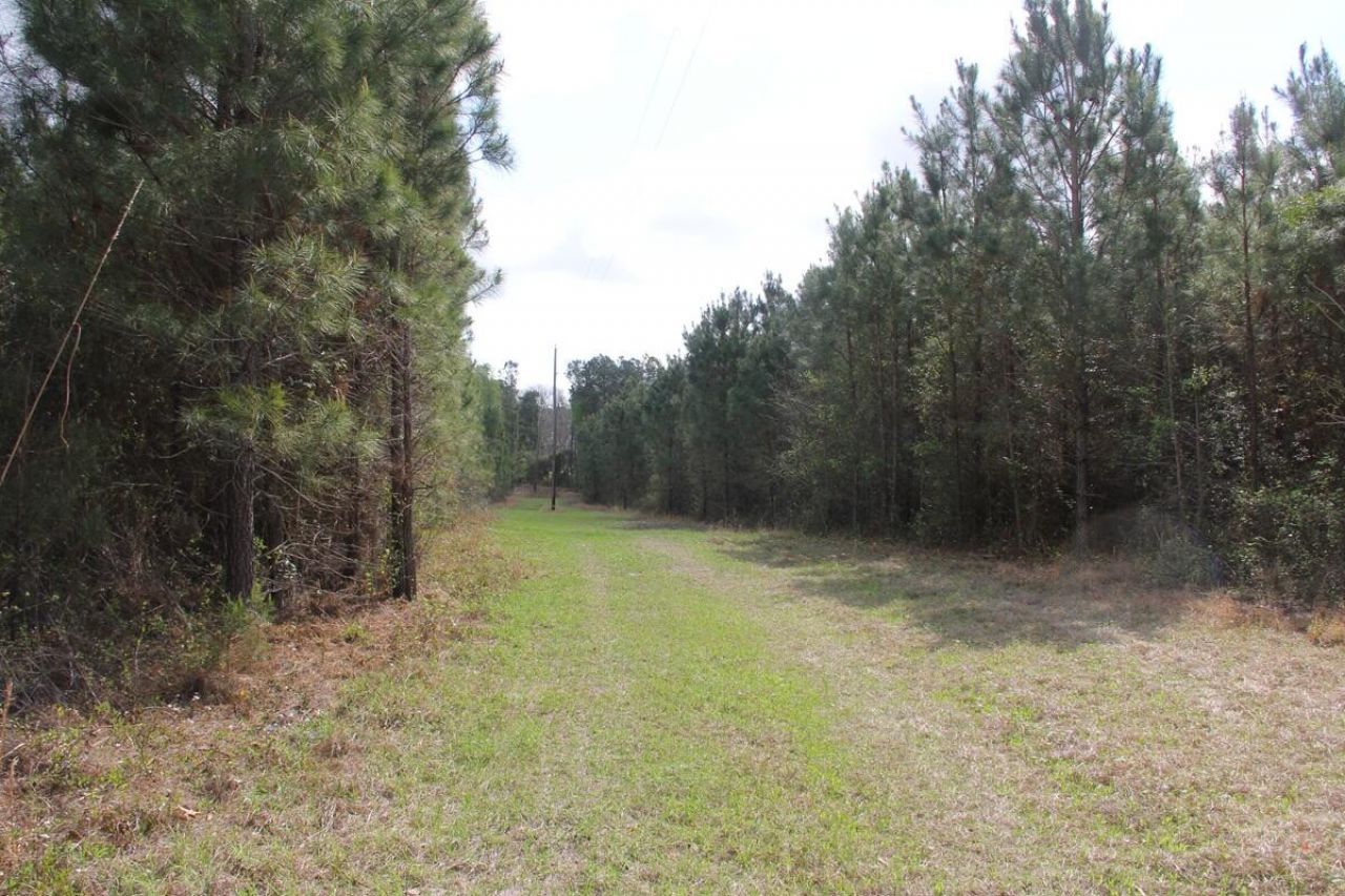 305 Ponderosa Road Photo 5
