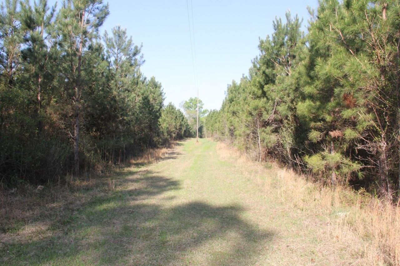 305 Ponderosa Road Photo 8