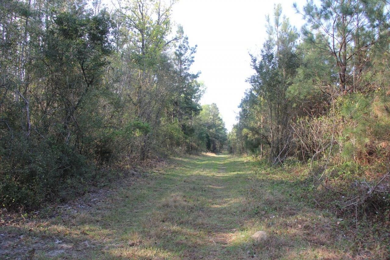 305 Ponderosa Road Photo 9
