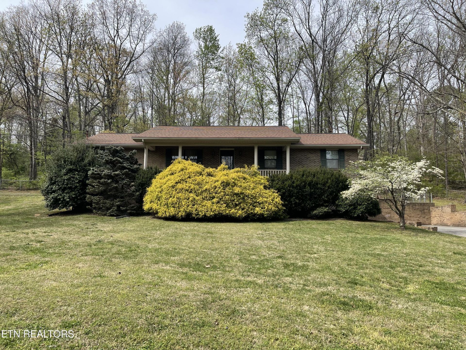 1001 Buckthorn Drive, Knoxville, TN 37912 Main Photo