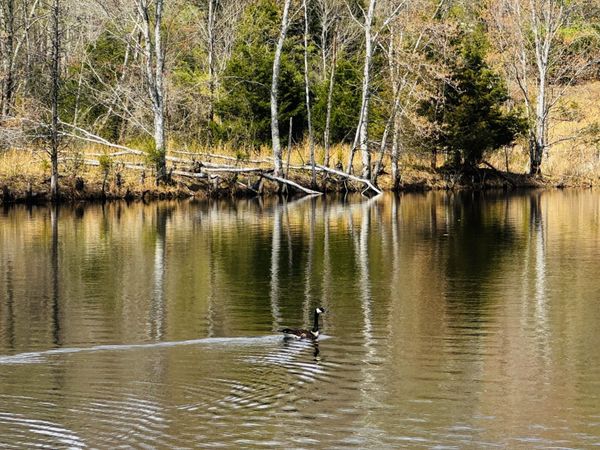 1565 Old Hwy Number One, Dickson, TN 37055