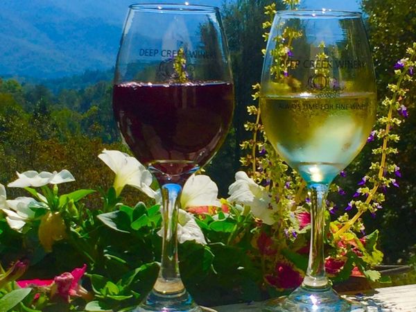 405 Johnathan Walk Road , Bryson City, NC 28713