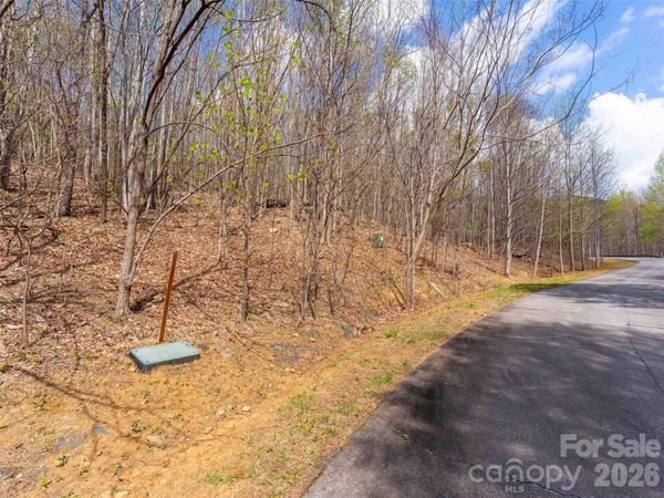 Lot 196 Cherry Hill , Mill Spring, NC 28756