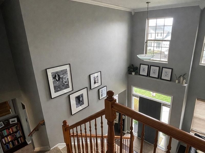 5532 Connorwill Drive, Westerville, OH 43081 Photo 4