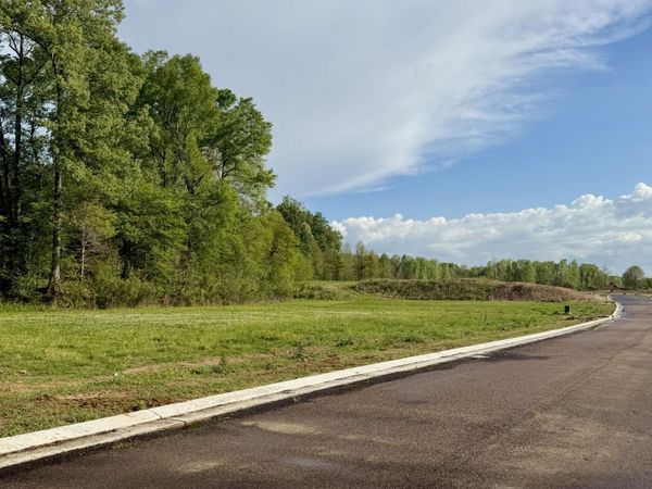 00 Plainview Dr Lot 4, Vicksburg, MS 39180