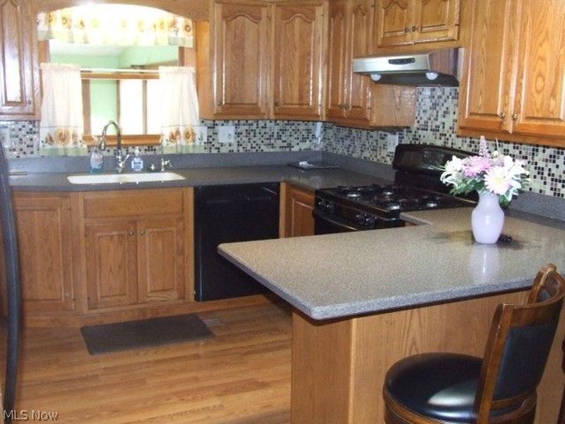 1366 Alphada Avenue, Akron, OH 44310 Photo 11