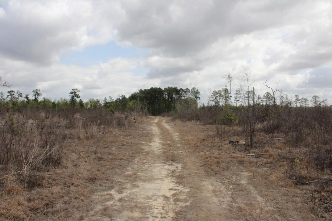 00 Ponderosa Road Photo 3