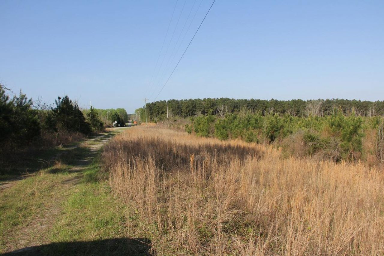 00 Ponderosa Road Photo 4