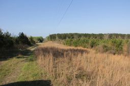 00 Ponderosa Road photo 4