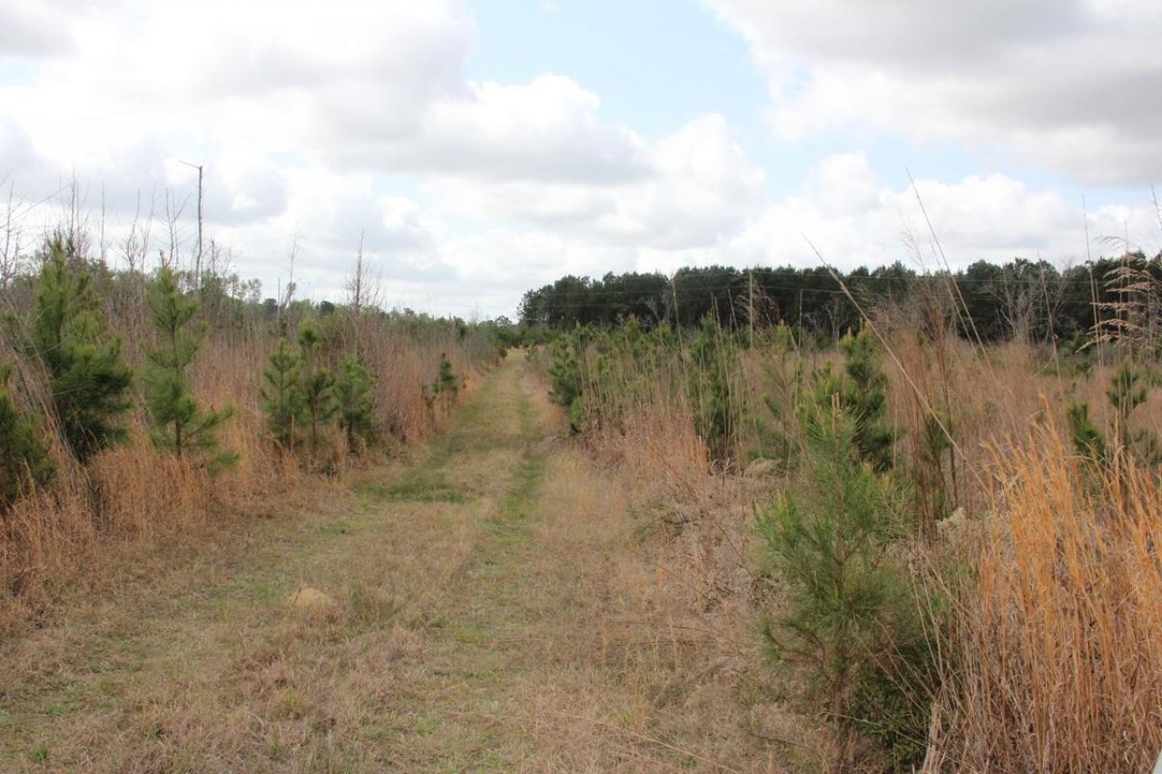 00 Ponderosa Road Photo 5