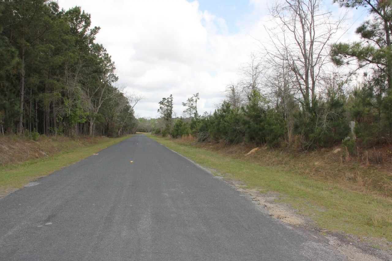 00 Ponderosa Road Photo 7