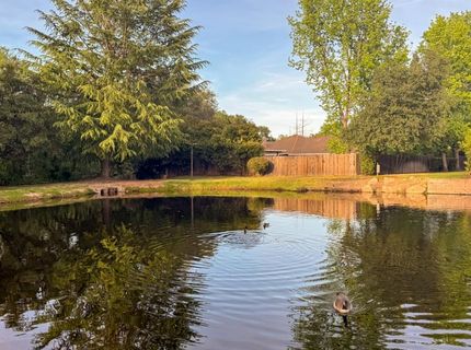 4702 El Cid Ct, Rocklin, CA 95677 Photo