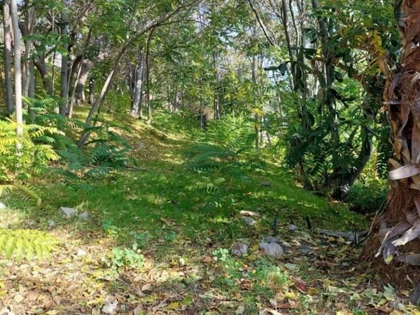 200 S Avenue 63, Los Angeles, CA 90042