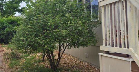 170 Duchess Way, Sacramento, CA 95827 Photo