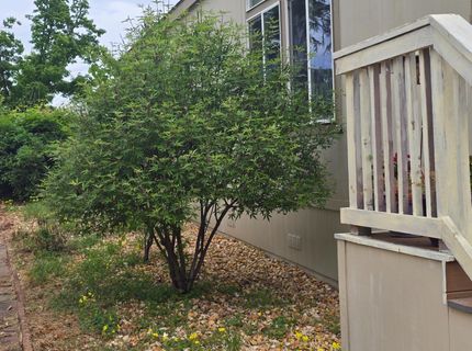 170 Duchess Way, Sacramento, CA 95827 Photo