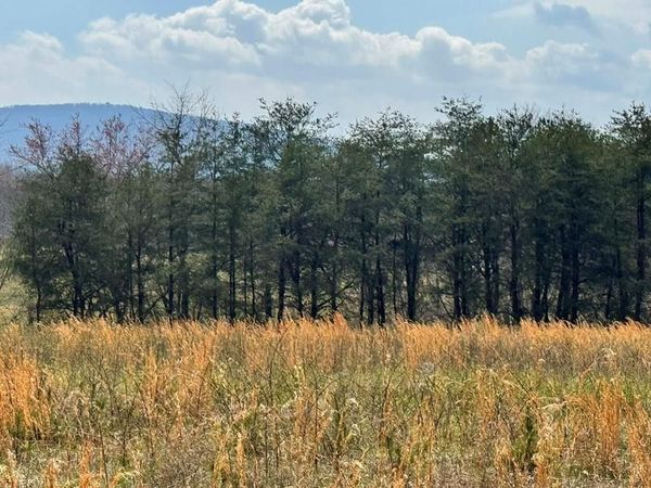 Crab Orchard, TN 37723