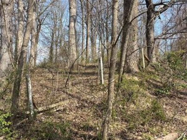 STEFFENY ROAD, RANDALLSTOWN, MD 21133