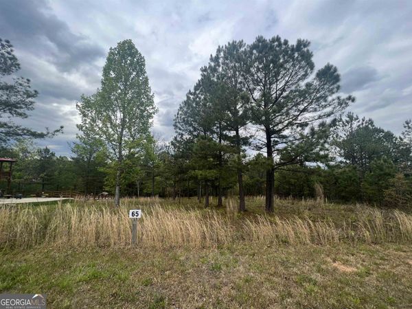 LOT 65 Village Loop, Blairsville, GA 30512