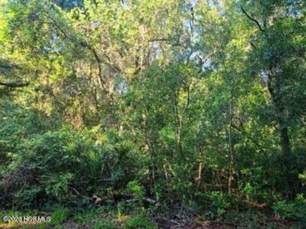 54 Fort Holmes Trail , Bald Head Island, NC 28461