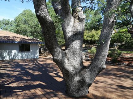 481 Powers Dr, El Dorado Hills, CA 95762 Photo