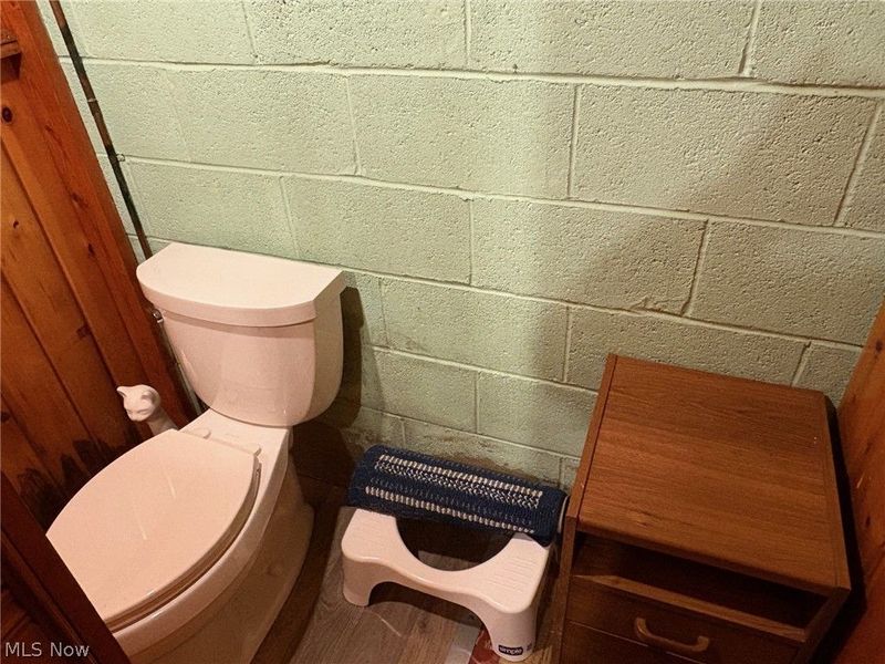 2436 Tuxedo Avenue, Parma, OH 44134 Photo 33