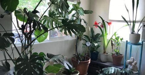 2311 Reile Ave, Escalon, CA 95320 Photo