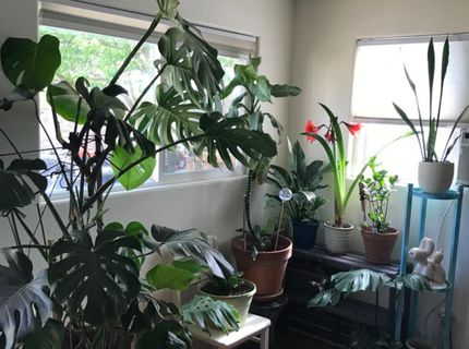 2311 Reile Ave, Escalon, CA 95320 Photo