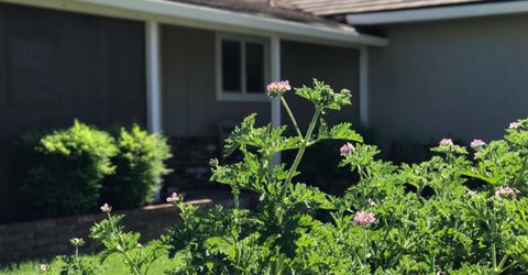 2311 Reile Ave, Escalon, CA 95320 Photo