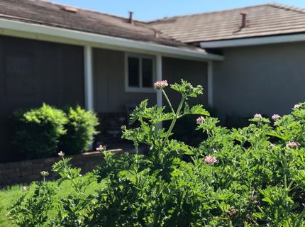 2311 Reile Ave, Escalon, CA 95320 Photo