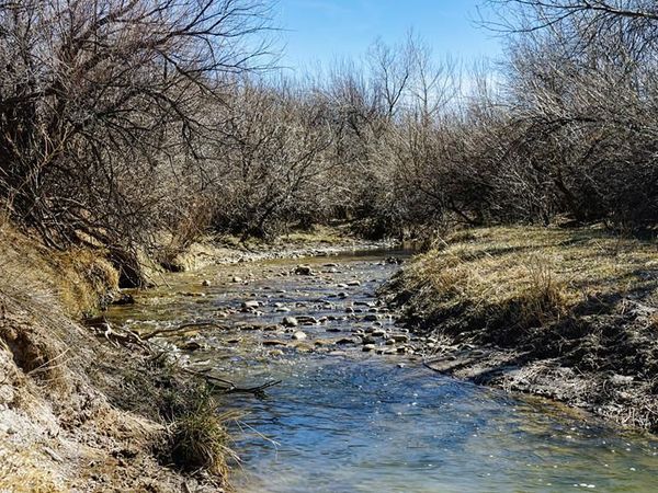 161 Colorado Land and Livestock, Walsenburg, CO 81089
