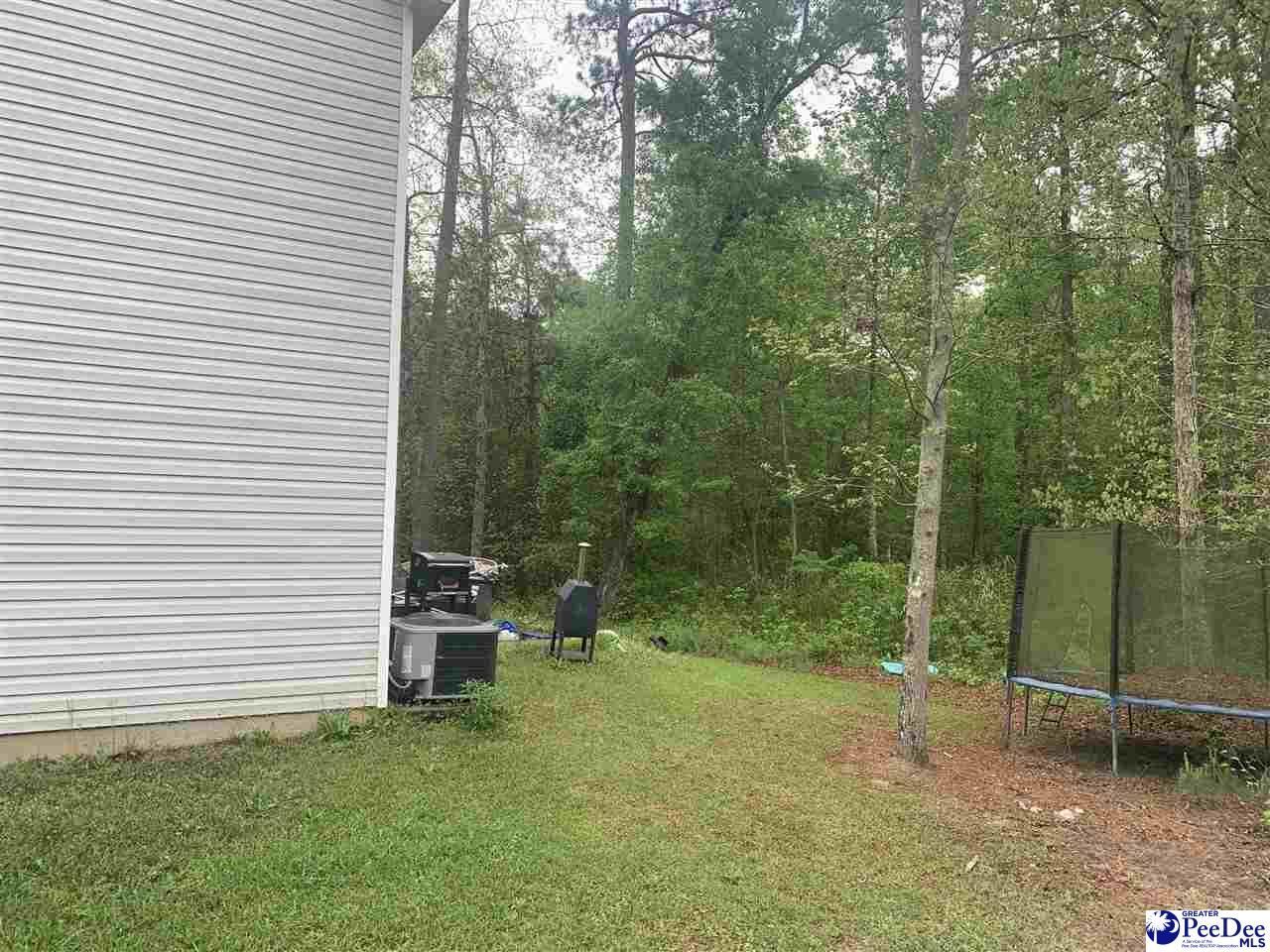 1104 Rock Creek Dr Photo 23