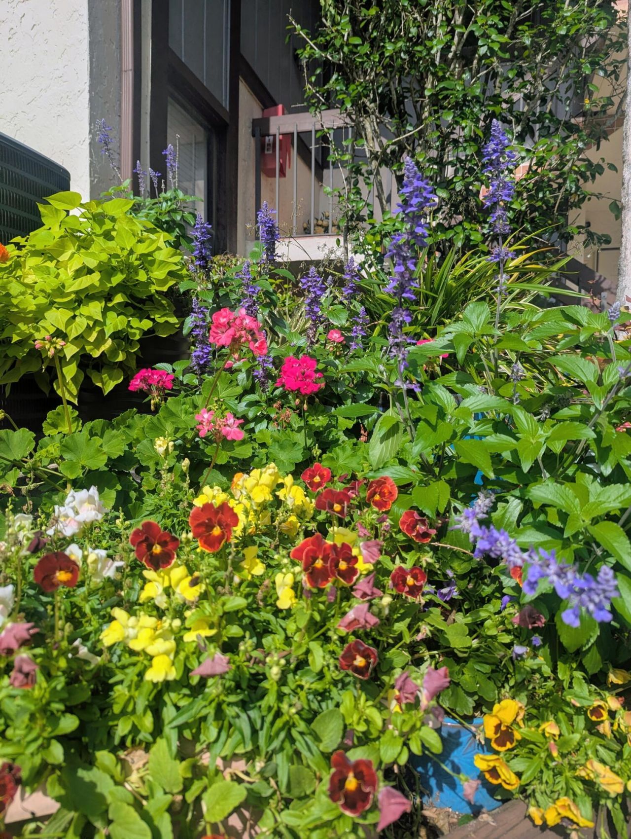 13329 Polo Club Road, Unit 206, Wellington, FL 33414 Photo